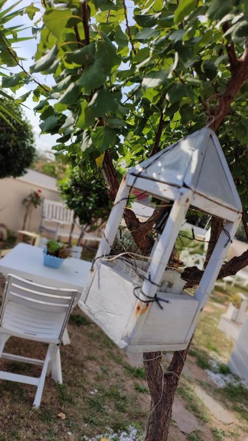 Casa Vacanze ออลเบีย ภายนอก รูปภาพ